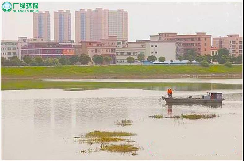 東莞深入推進水污染治理工作：積極推進治污工程，提升水環境質量