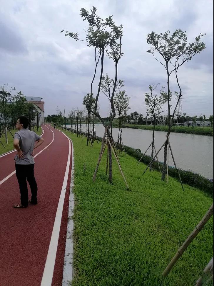 東莞鐵腕治污守護碧水藍天，全面提升群眾生態環境獲得感