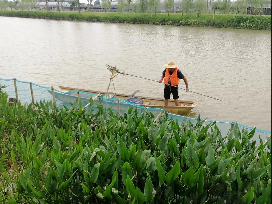 東莞鐵腕治污守護碧水藍天，全面提升群眾生態環境獲得感